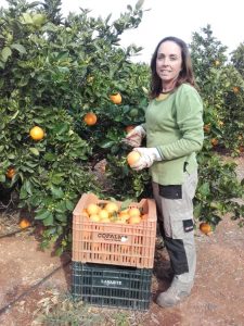 Georgina recolectando naranjas Lanelate