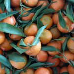 Mandarinas ecológicas de temporada - Caja de 10 Kg